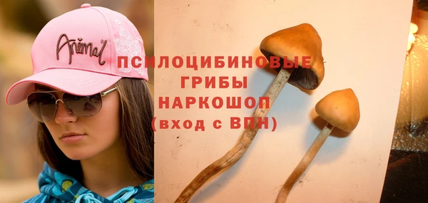 дмт Абдулино