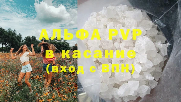 эйфоретик Алексин