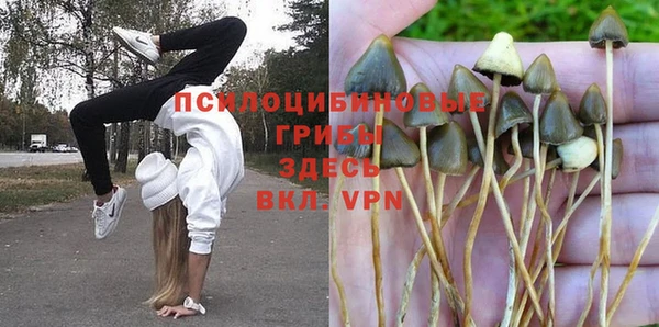 эйфоретик Алексин